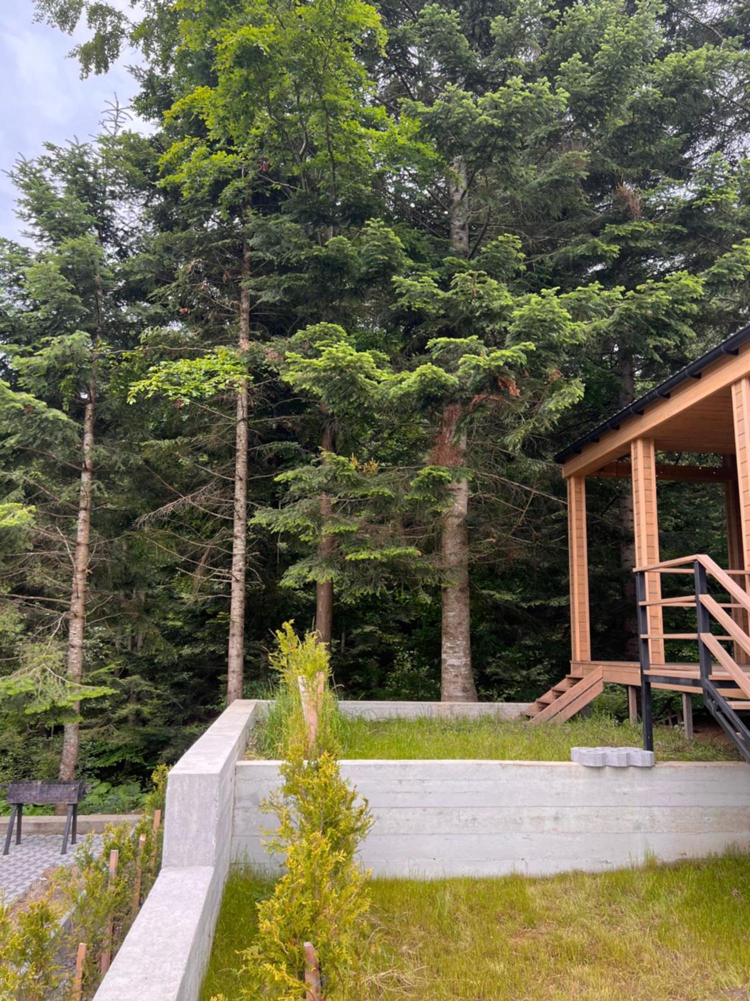 Парк-Готель Щастя Skhidnytsia Extérieur photo